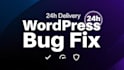do wordpress customization bug fixes speed optimization