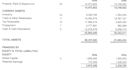 preparation of financial statements