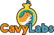 design a playful flat logo with bold style