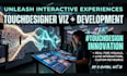 create custom touchdesign and touchdesigner interactive visual experience