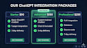 do chatgpt integration for your website or app