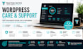 provide expert wordpress development, fixes and customisation