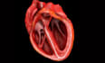 create cinematic 3d anatomy illustrations and heart animation