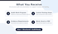 prepare internal audit procedures and audit work programs
