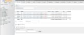 develop a custom court and legal case management web application