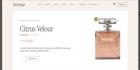 basic website, simple wordpress website, startup website, make website