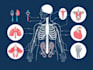 draw medical illustrations and diagrams