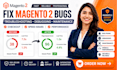 fix magento 2 bugs troubleshooting debugging maintenance checkout speed issues