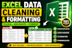 do excel data formatting and data cleaning