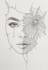 do pencil sketch from photos