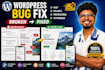 fix wordpress bugs, errors, CSS issues, and website problems