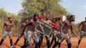african happy birthday video african happy birthday video