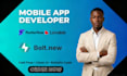build flutterflow app, flutter flow and be flutterflow mobile app developer