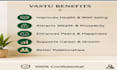 provide personalized vastu consultation online
