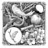 draw anything to an engraving style illustration