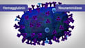 create 3d medical animation moa vaccine scientific molecular explainer video