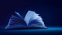 edit and proofread your book essay or manuscript for grammer and clarity