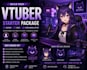 build your vtuber starter package, avatar, logo, and streaming setup