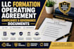 draft llc operating agreement, llc formation, compliance and governance document