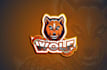 do mascot cartoon logo design