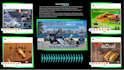 design social media posters