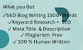 write SEO blog posts and saas article for your website