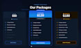 build a professional website