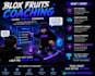 make you a blox fruits pro