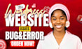 do wordpress website maintenance, fix errors, bugs, wordpress support and help