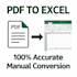 convert PDF to excel accurately in 24h