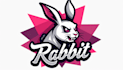 design awesome rabbit mascot logo just in 12 hours