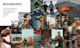 create a premium brand strategy and identity deck