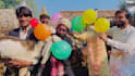 do happy birthday video