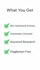 write SEO articles, blog posts and website content