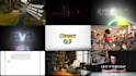 create a professional logo animation and custom motion graphics