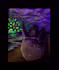 paint an original artwork for you with acrylics