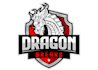 design wonderful dragon logo