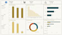 create professional microsoft excel dashboards, pivot tables and charts