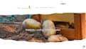 custom website design and hosting