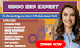 fix odoo accounting inventory errors, setup erp workflow and customize odoo
