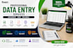 logo design and data entry