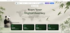 design modern custom creative portfolio for business