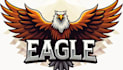 make eye catching eagle bird mascot logo with express delivery
