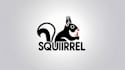 design eye catchy squirrel mascot logo in express delivery
