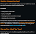publish and format wordpress blog posts professionally
