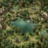 dnd regional map fantasy map, battle map city