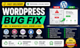 fix wordpress issues, errors, bugs and plugin conflicts