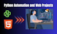 do python programming excel work and PPT presentations