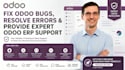 fix odoo bugs, resolve errors and provide expert odoo erp support