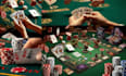 design professional card game templates and box layouts